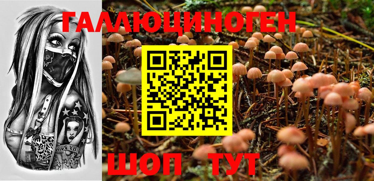 Галлюциногенные грибы MAGIC MUSHROOMS  Вход с VPN  наркотики  Псилоцибиновые грибы Cubensis  Курчатов 